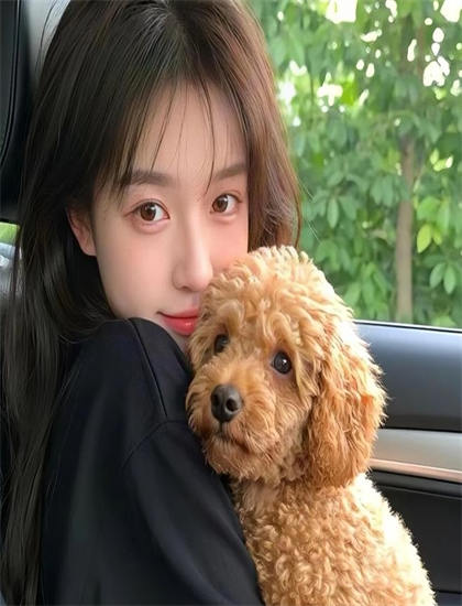 美术指导：极限挑战第6季升级版票房的收入数据与市场反应——艺术与技术的完美结合